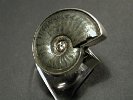 DSCN0789  Ring, 925 Ag, pyritisierter Ammonit, mit im Nabel, in 750 GG –Fassung                              gefasster  Diamant, mit Inklusen, 0.15 cts.
